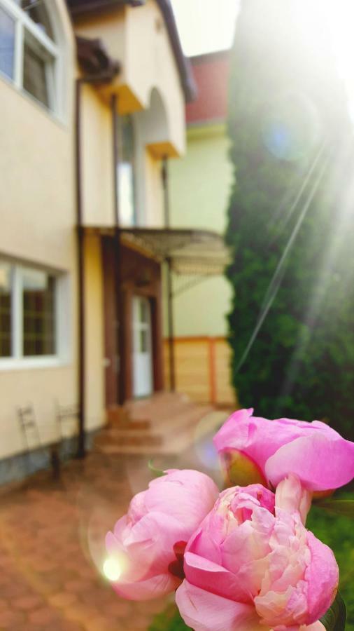 Vila Alfa Dumbrava Sibiu Bagian luar foto